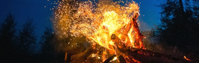 Bright fire on a dark night in a forest glade.